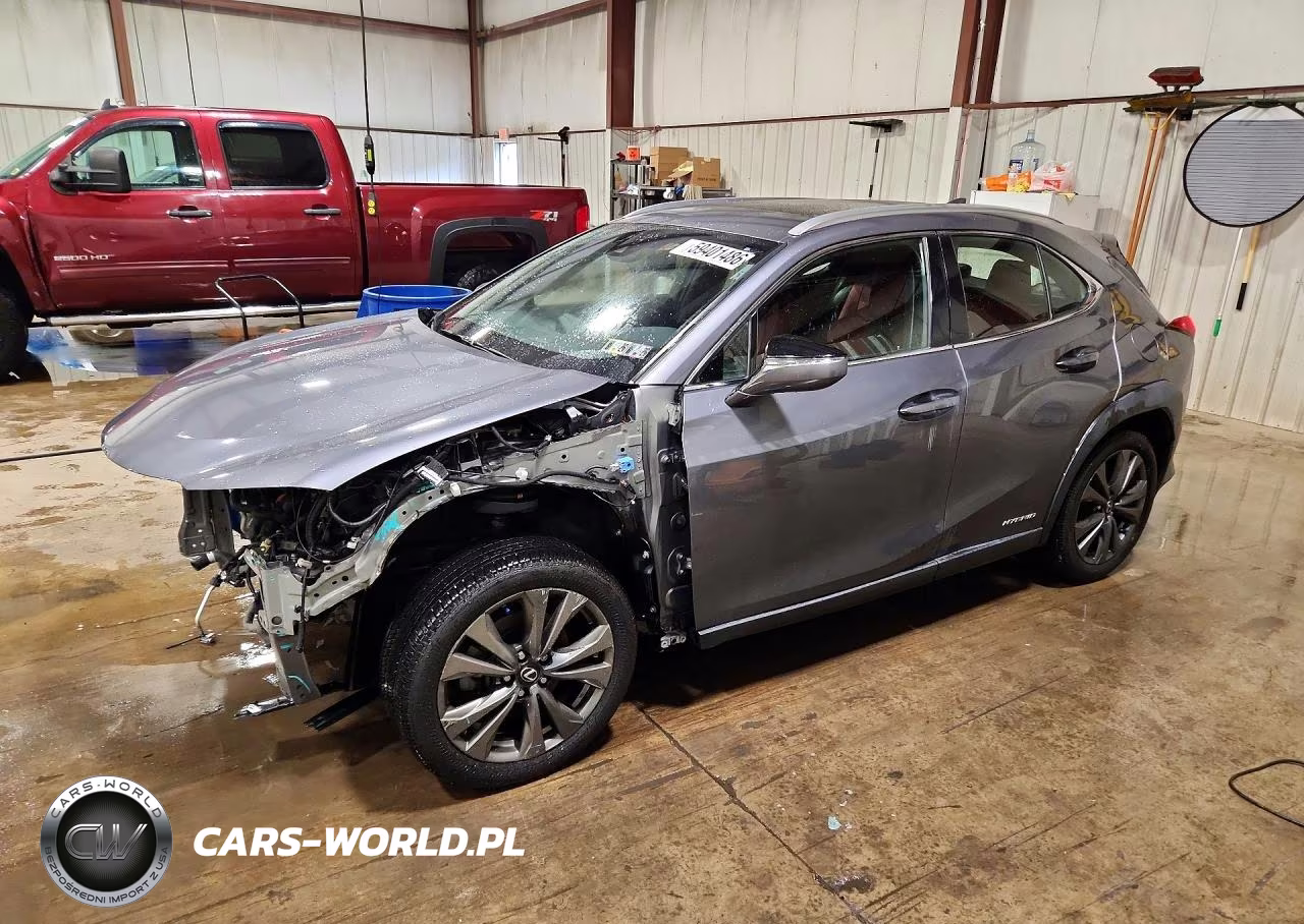 2019 Lexus Ux 250H
