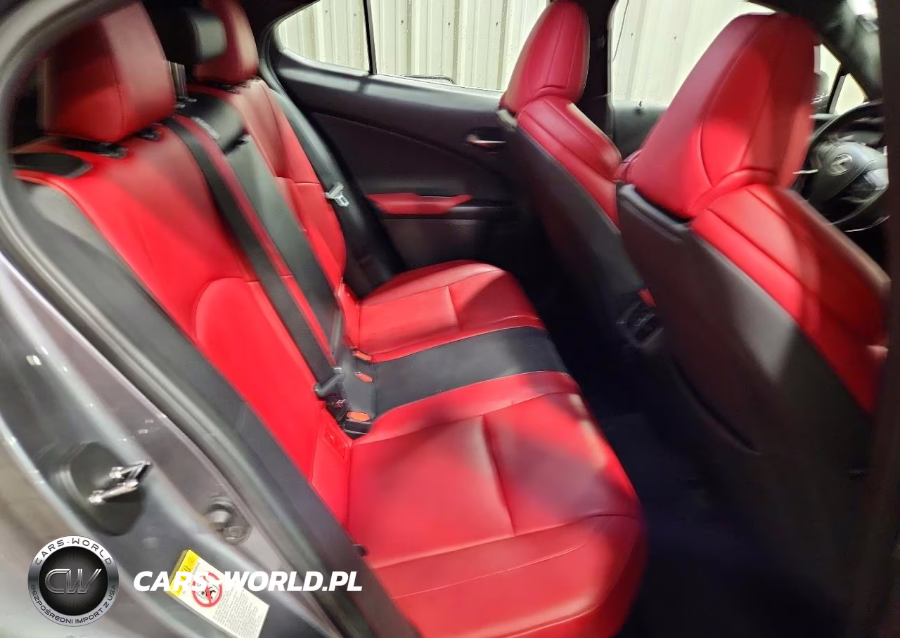 2019 Lexus Ux 250H VIN:JTHU9JBH2K2000913 - 11