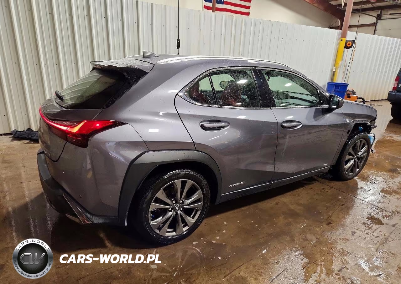 2019 Lexus Ux 250H VIN:JTHU9JBH2K2000913 - 3