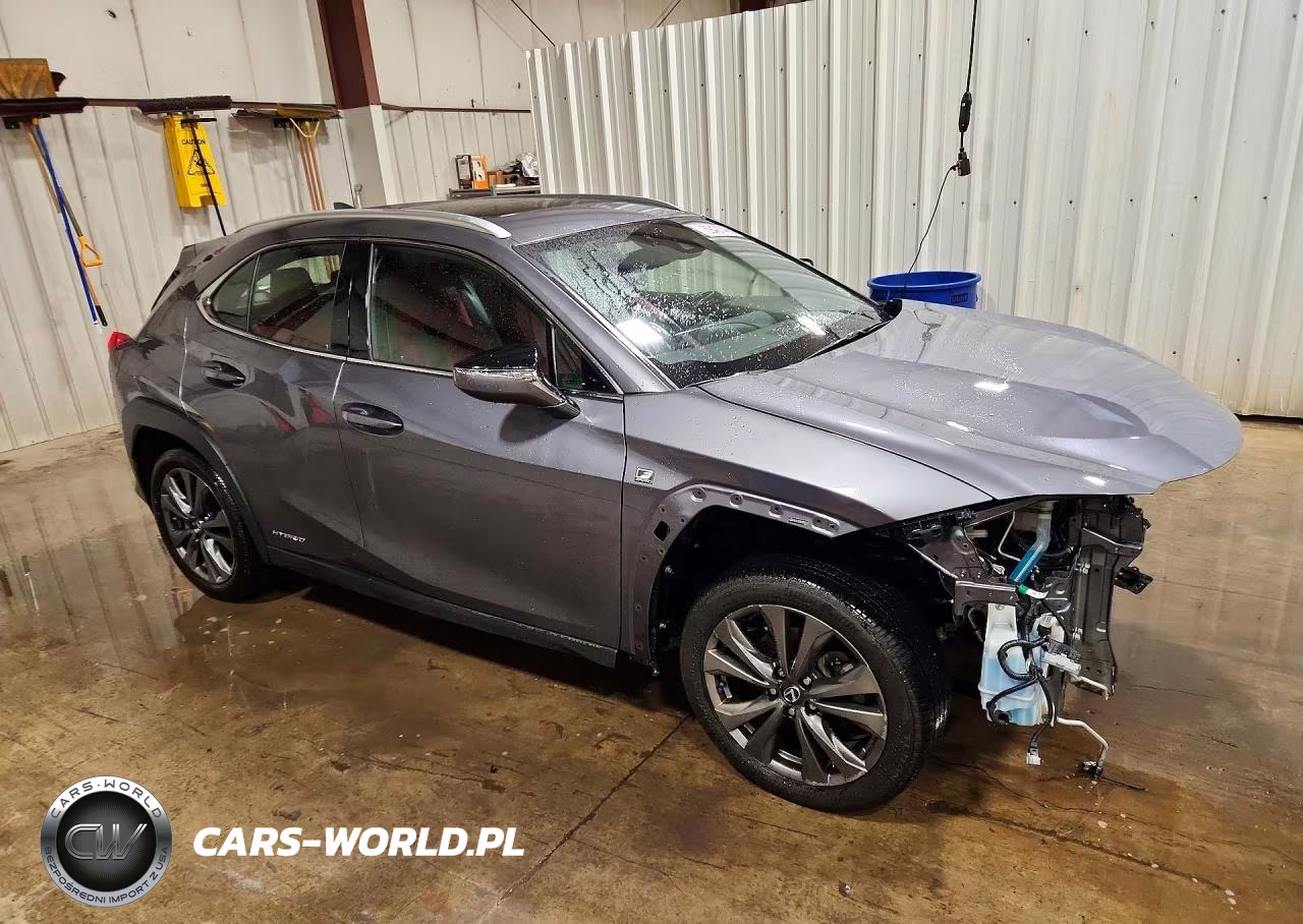 2019 Lexus Ux 250H VIN:JTHU9JBH2K2000913 - 4