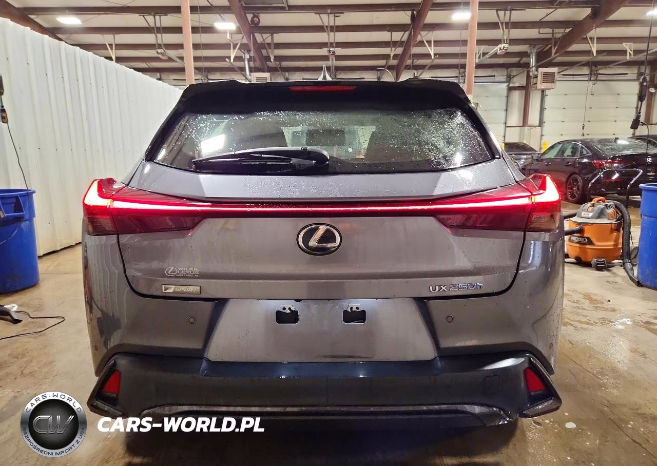 2019 Lexus Ux 250H VIN:JTHU9JBH2K2000913 - 6
