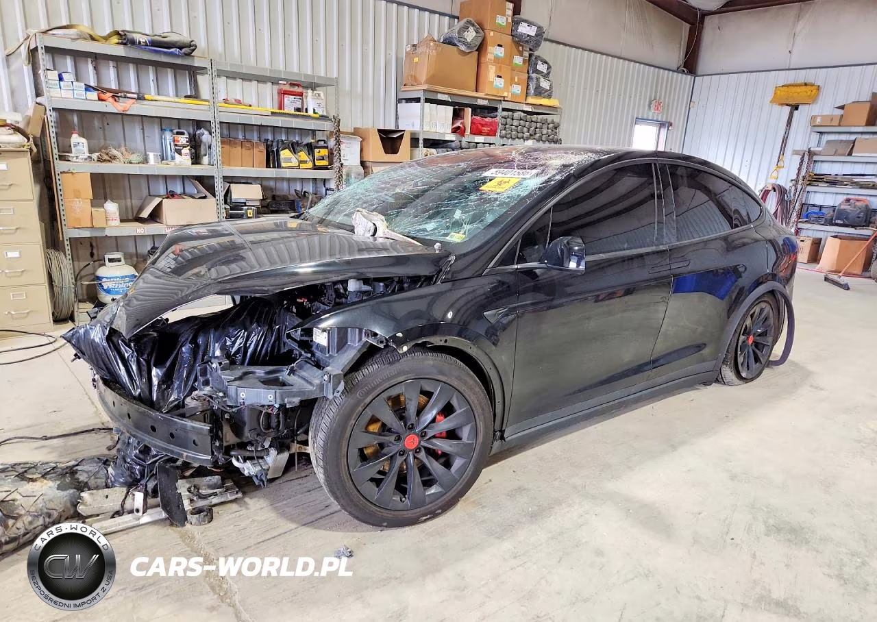 2019 Tesla Model X