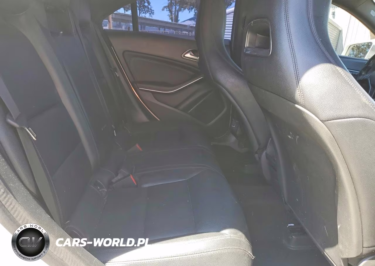 2014 Mercedes-Benz Cla 250 VIN:WDDSJ4EB6EN109375 - 10