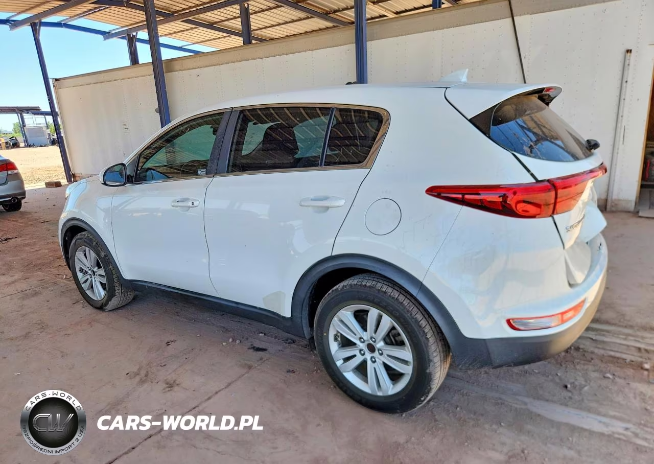 2017 Kia Sportage Lx VIN:KNDPM3AC9H7220298 - 2
