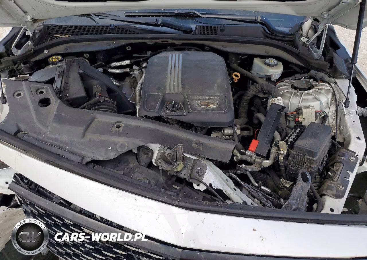 2020 Cadillac Ct5 Premium Luxury VIN:1G6DN5RKXL0129519 - 11