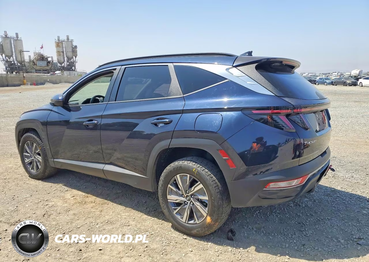 2023 Hyundai Tucson Blue VIN:KM8JBCA15PU098920 - 2