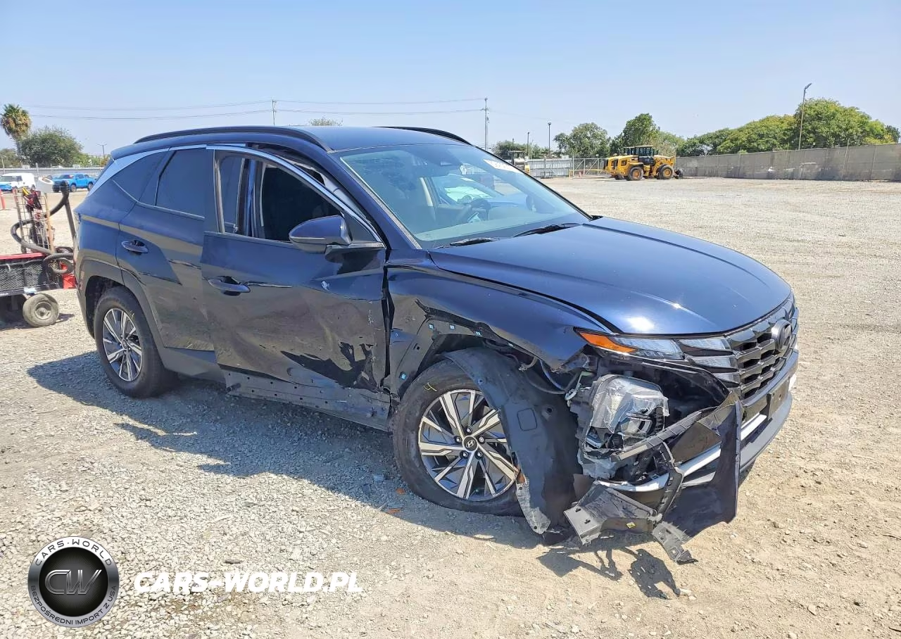 2023 Hyundai Tucson Blue VIN:KM8JBCA15PU098920 - 4