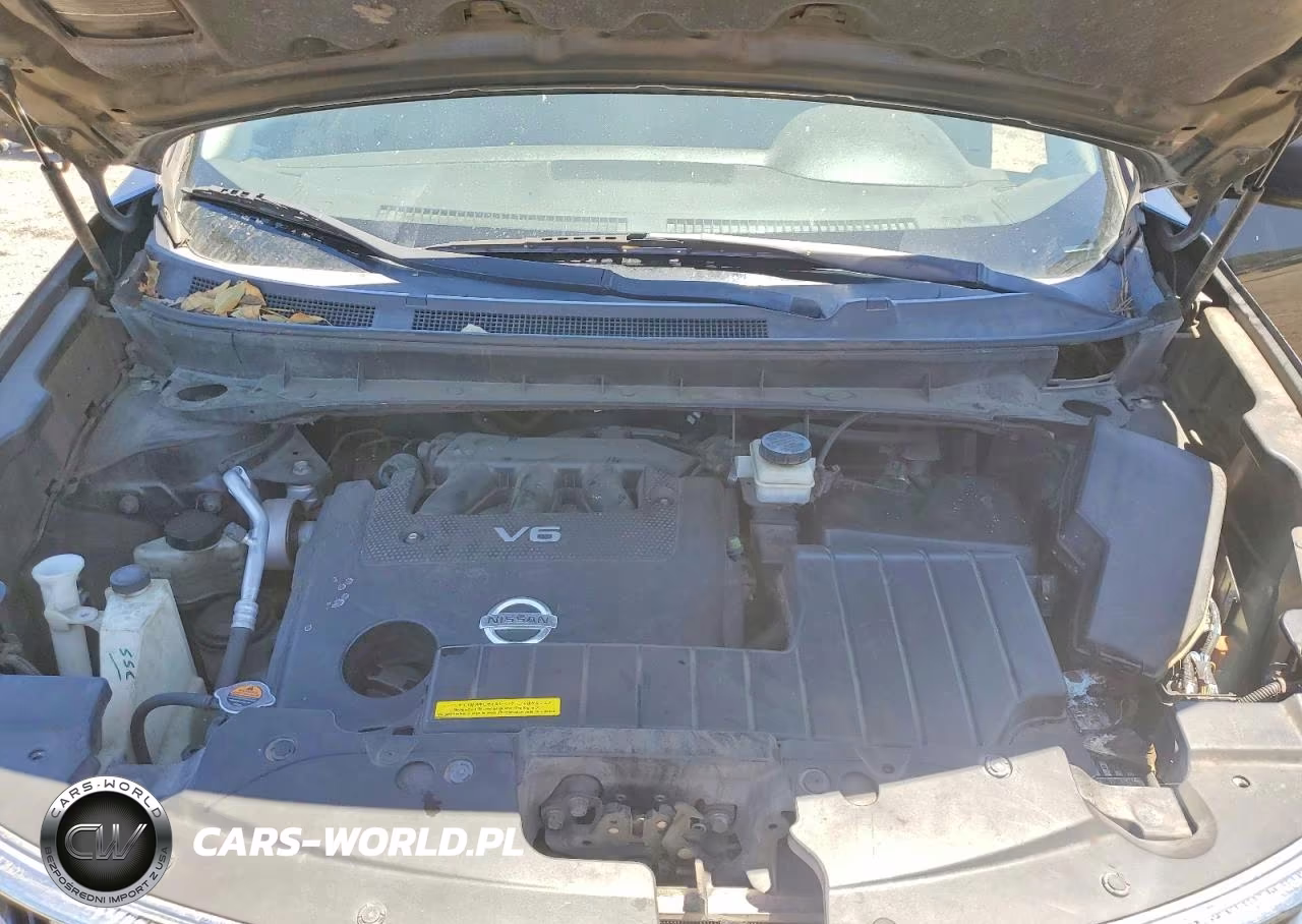 2010 Nissan Murano S-Sl-Le VIN:JN8AZ1MW5AW122659 - 12
