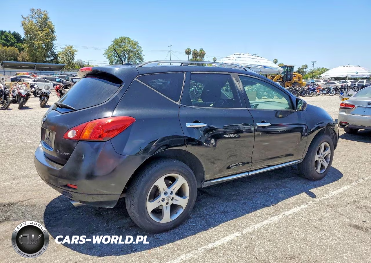 2010 Nissan Murano S-Sl-Le VIN:JN8AZ1MW5AW122659 - 3