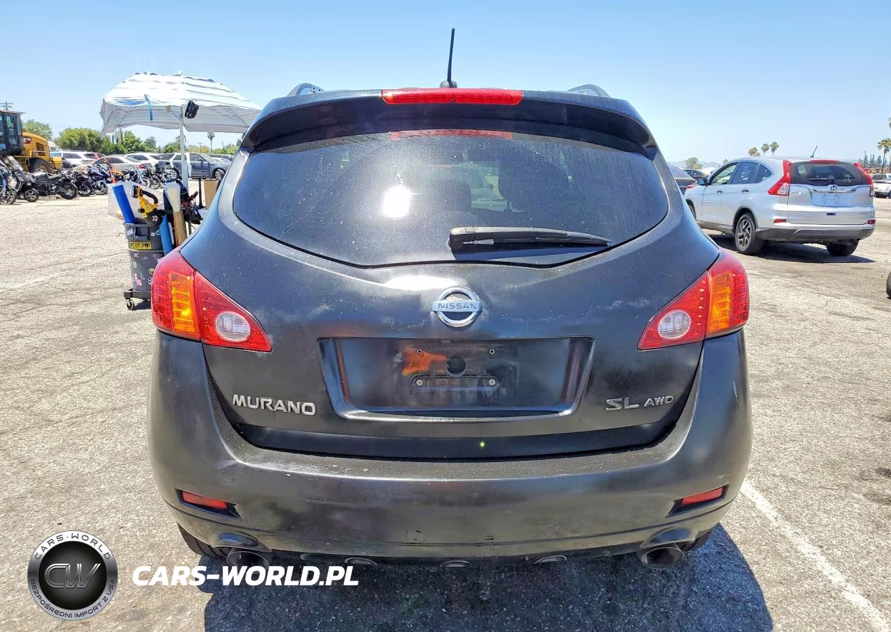 2010 Nissan Murano S-Sl-Le VIN:JN8AZ1MW5AW122659 - 6