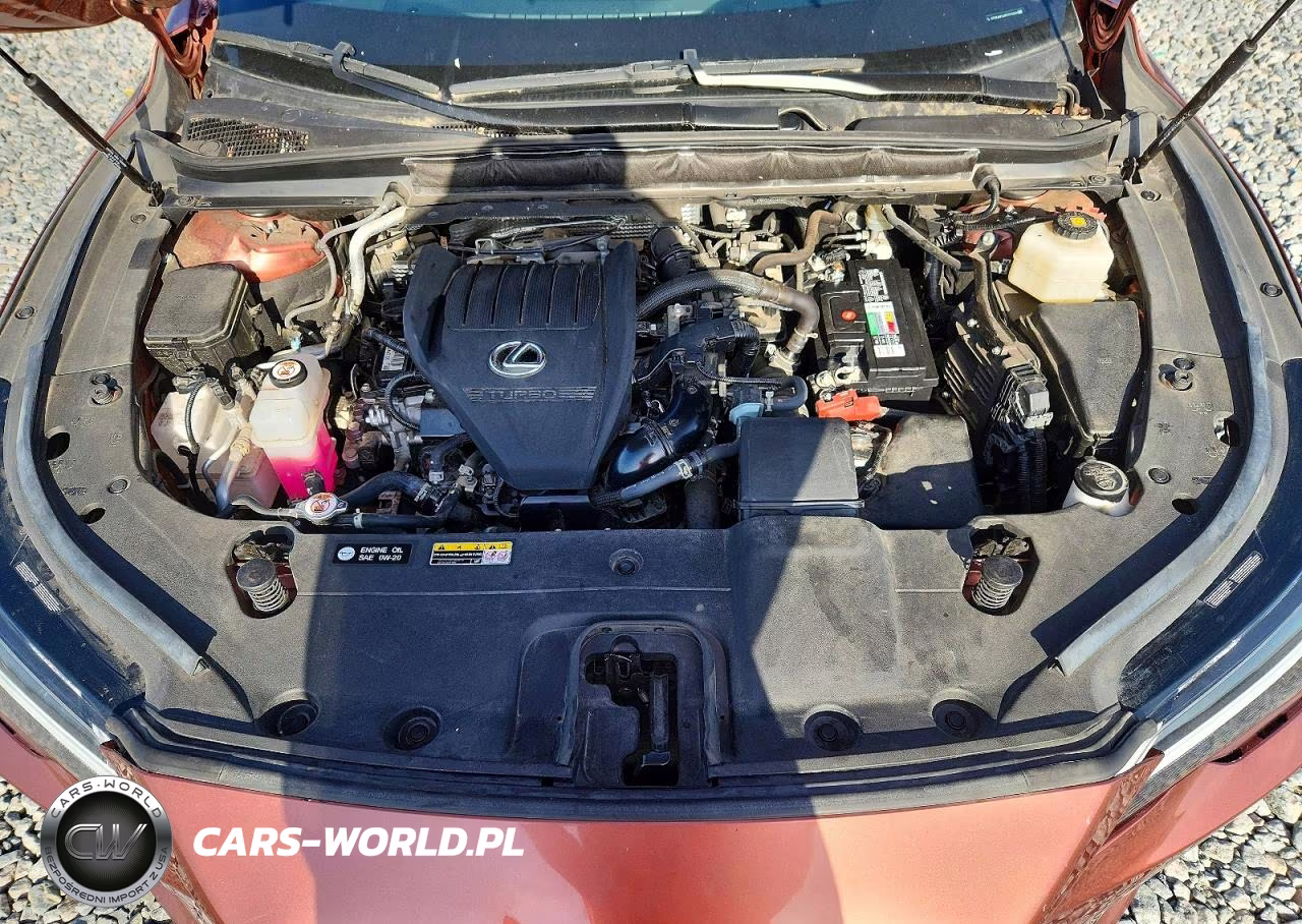 2023 Lexus Rx 350 Base VIN:2T2BAMCA8PC032899 - 12