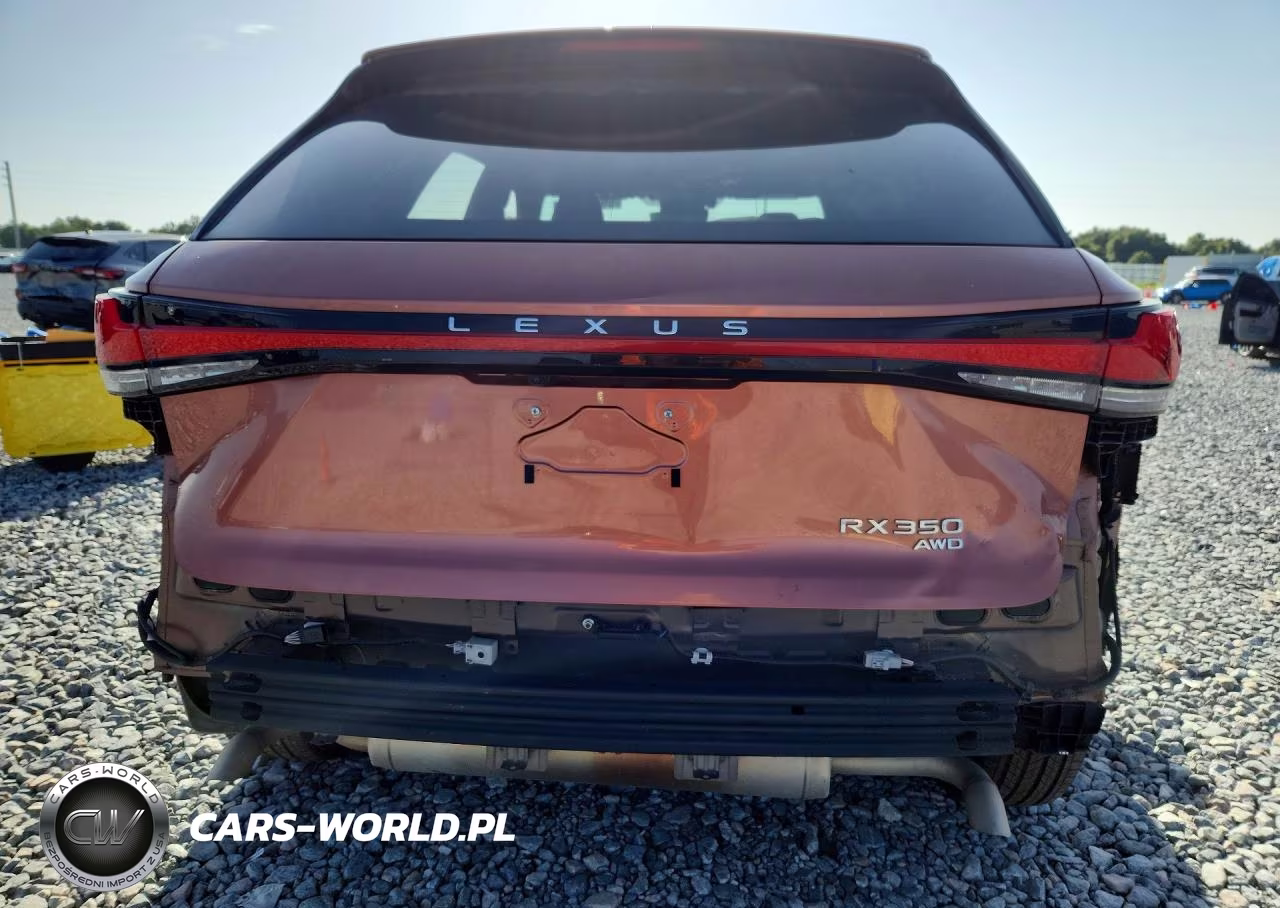 2023 Lexus Rx 350 Base VIN:2T2BAMCA8PC032899 - 6