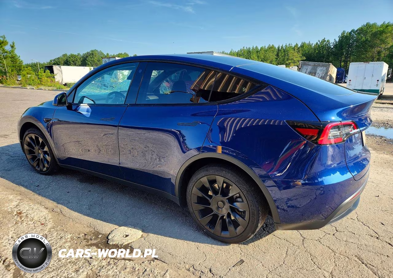 2022 Tesla Model Y VIN:7SAYGAEEXNF339630 - 2