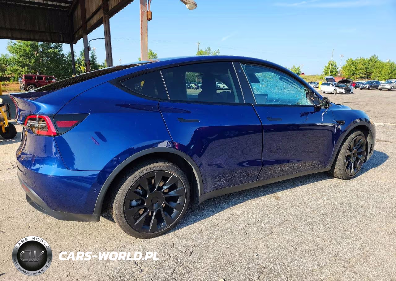 2022 Tesla Model Y VIN:7SAYGAEEXNF339630 - 3