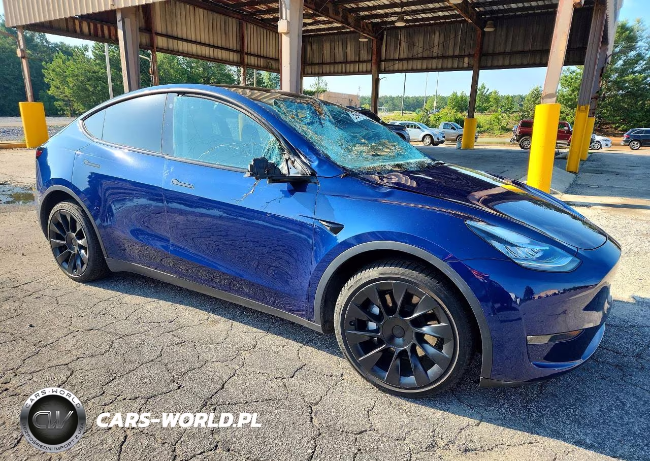 2022 Tesla Model Y VIN:7SAYGAEEXNF339630 - 4