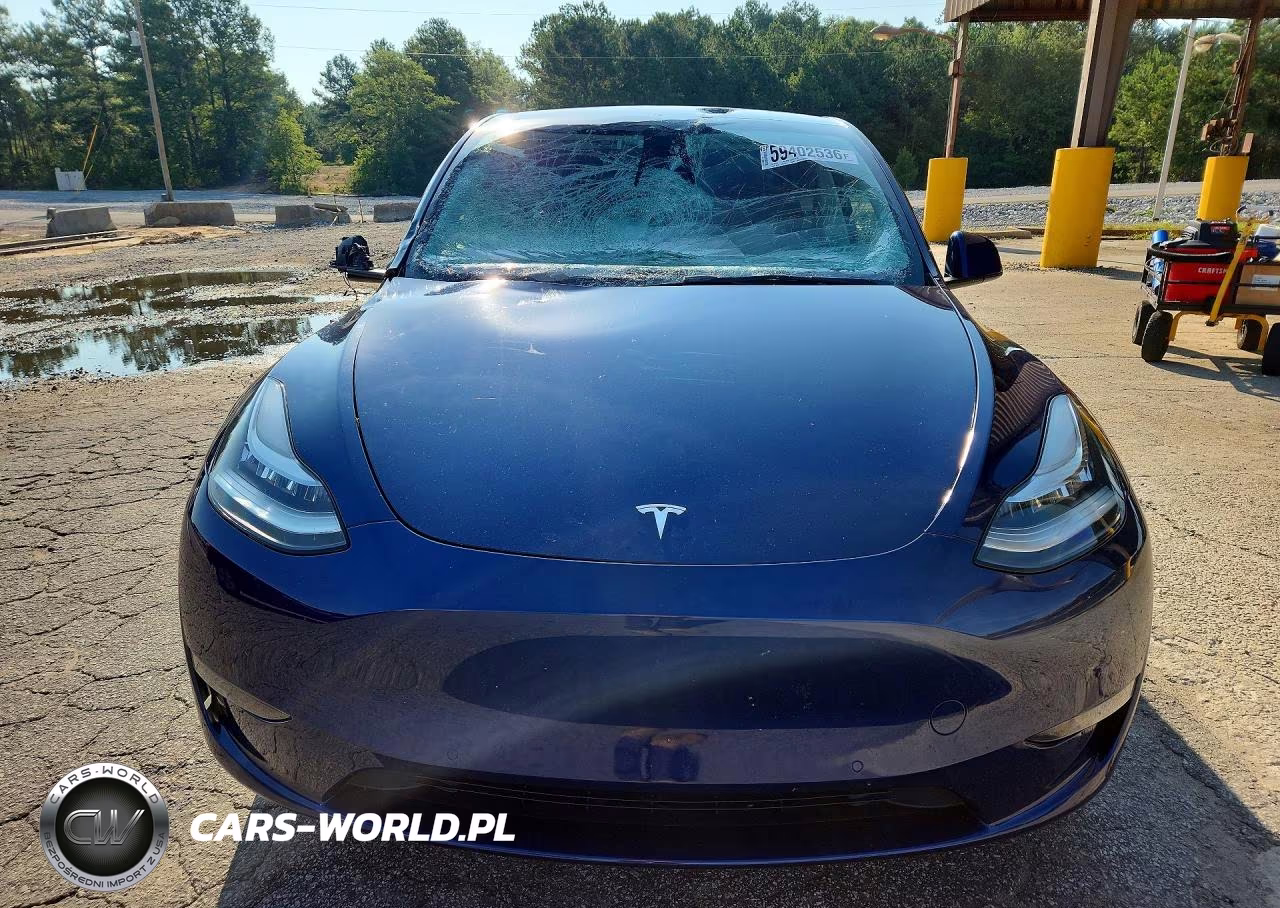 2022 Tesla Model Y VIN:7SAYGAEEXNF339630 - 5