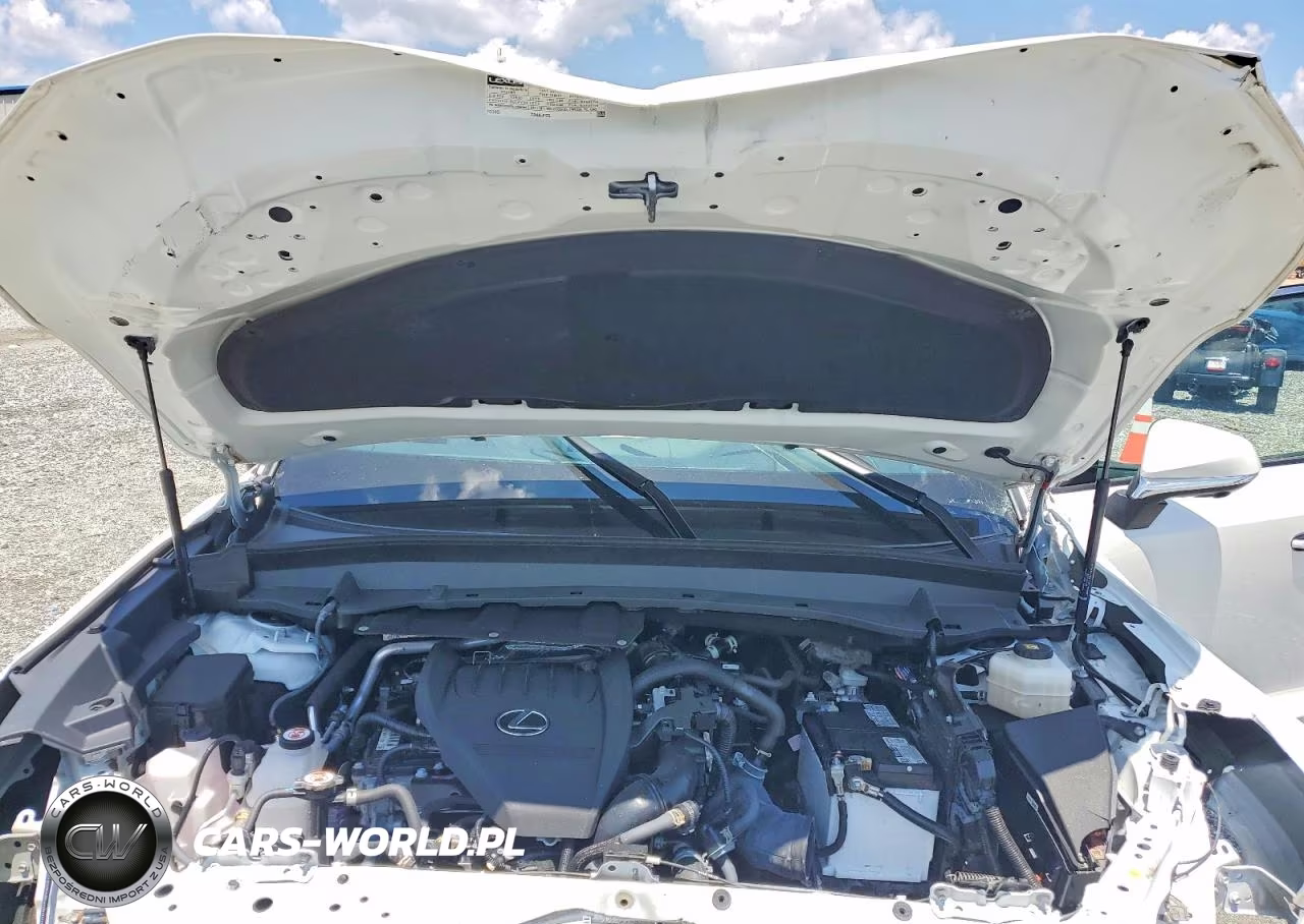 2024 Lexus Tx 350 Base VIN:5TDAAAB66RS018571 - 12