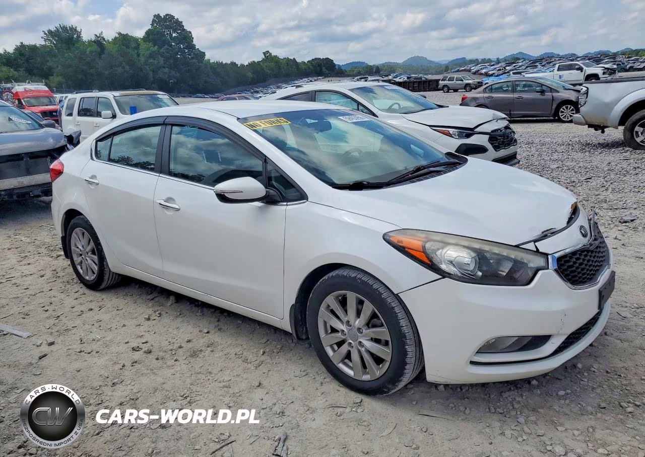 2014 Kia Forte Ex VIN:KNAFX4A86E5109538 - 4
