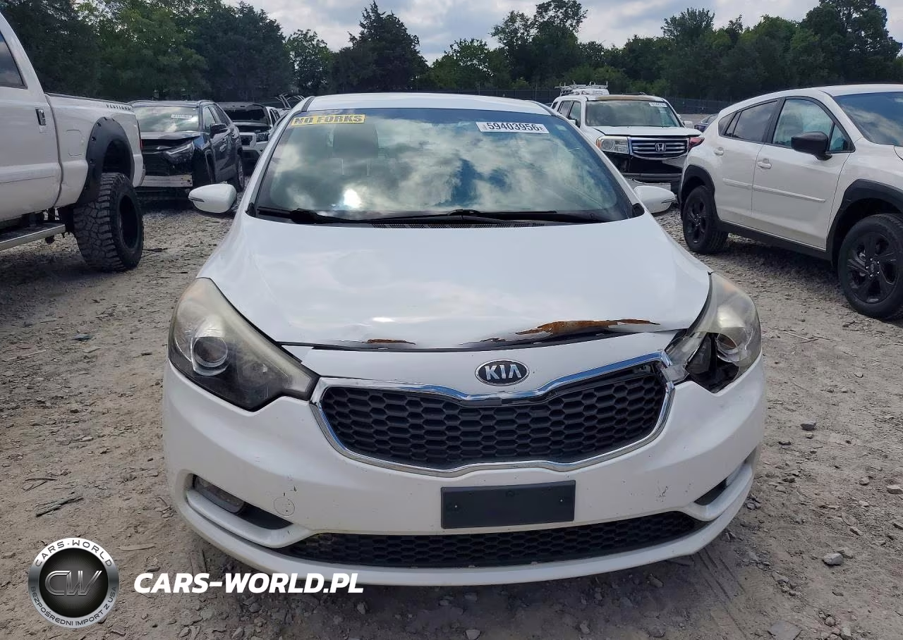 2014 Kia Forte Ex VIN:KNAFX4A86E5109538 - 5