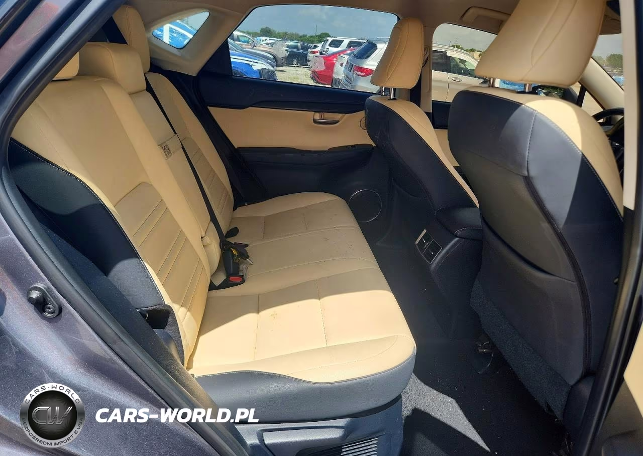 2021 Lexus Nx 300 Base VIN:JTJDARBZ2M2187019 - 11