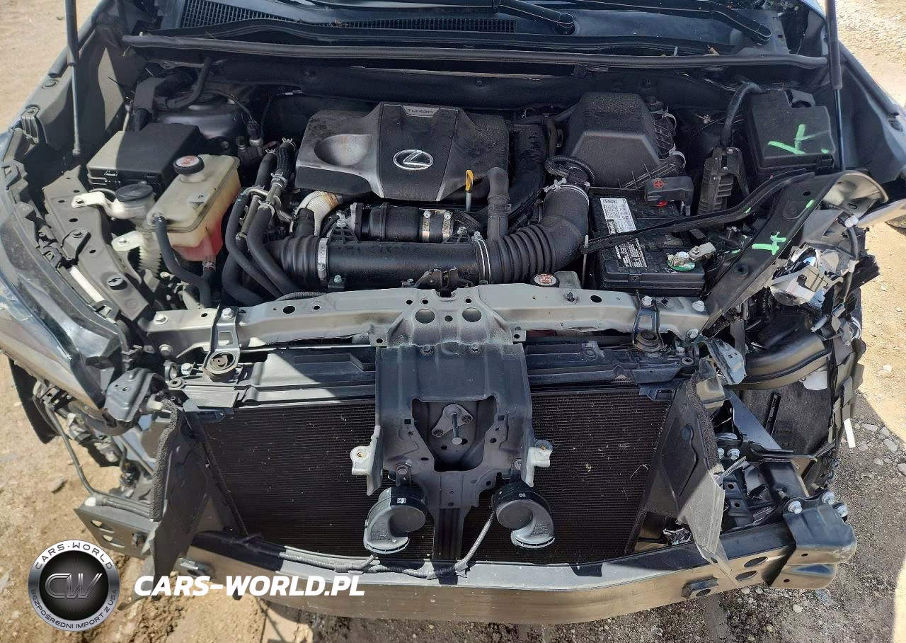 2021 Lexus Nx 300 Base VIN:JTJDARBZ2M2187019 - 12