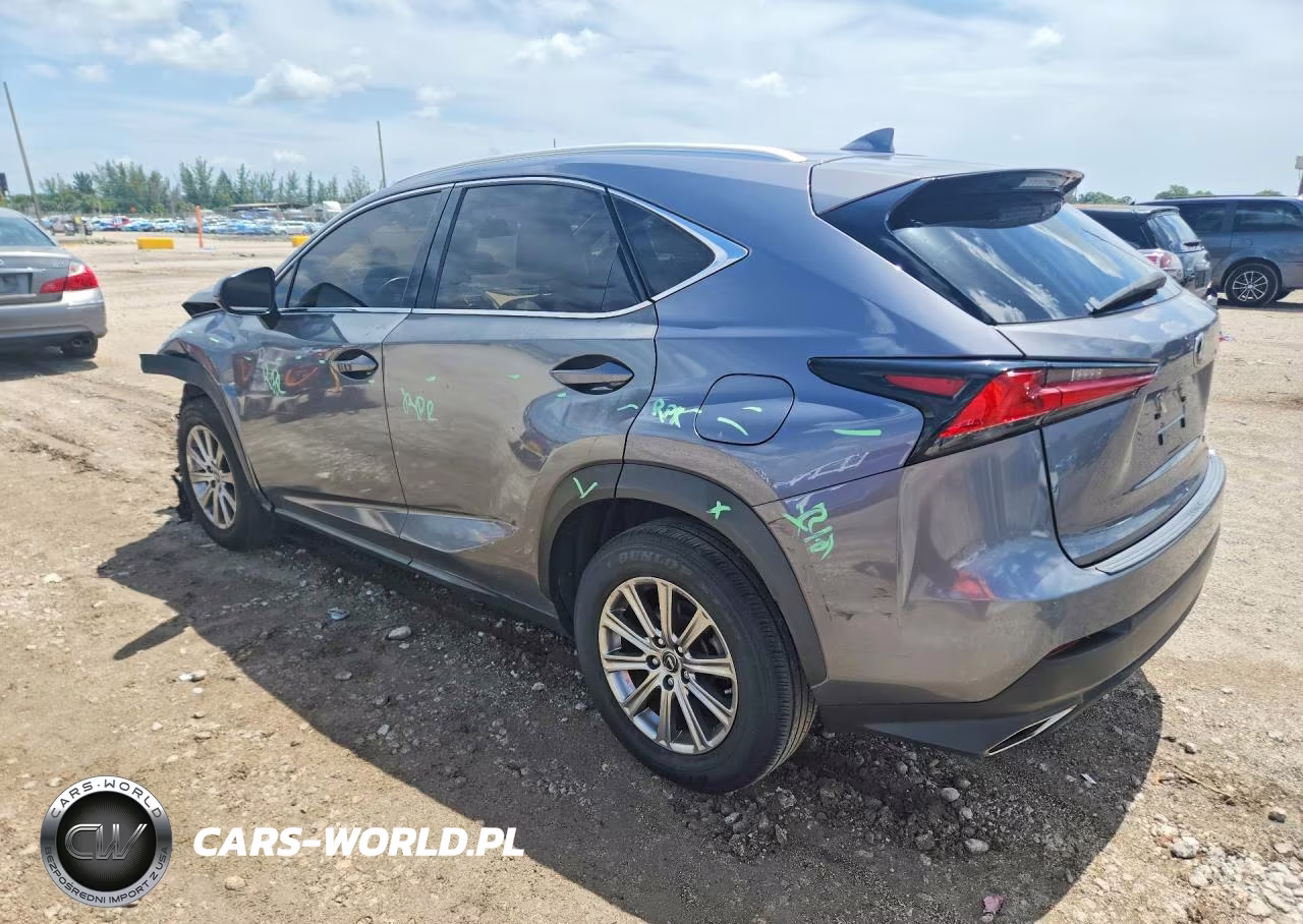 2021 Lexus Nx 300 Base VIN:JTJDARBZ2M2187019 - 2