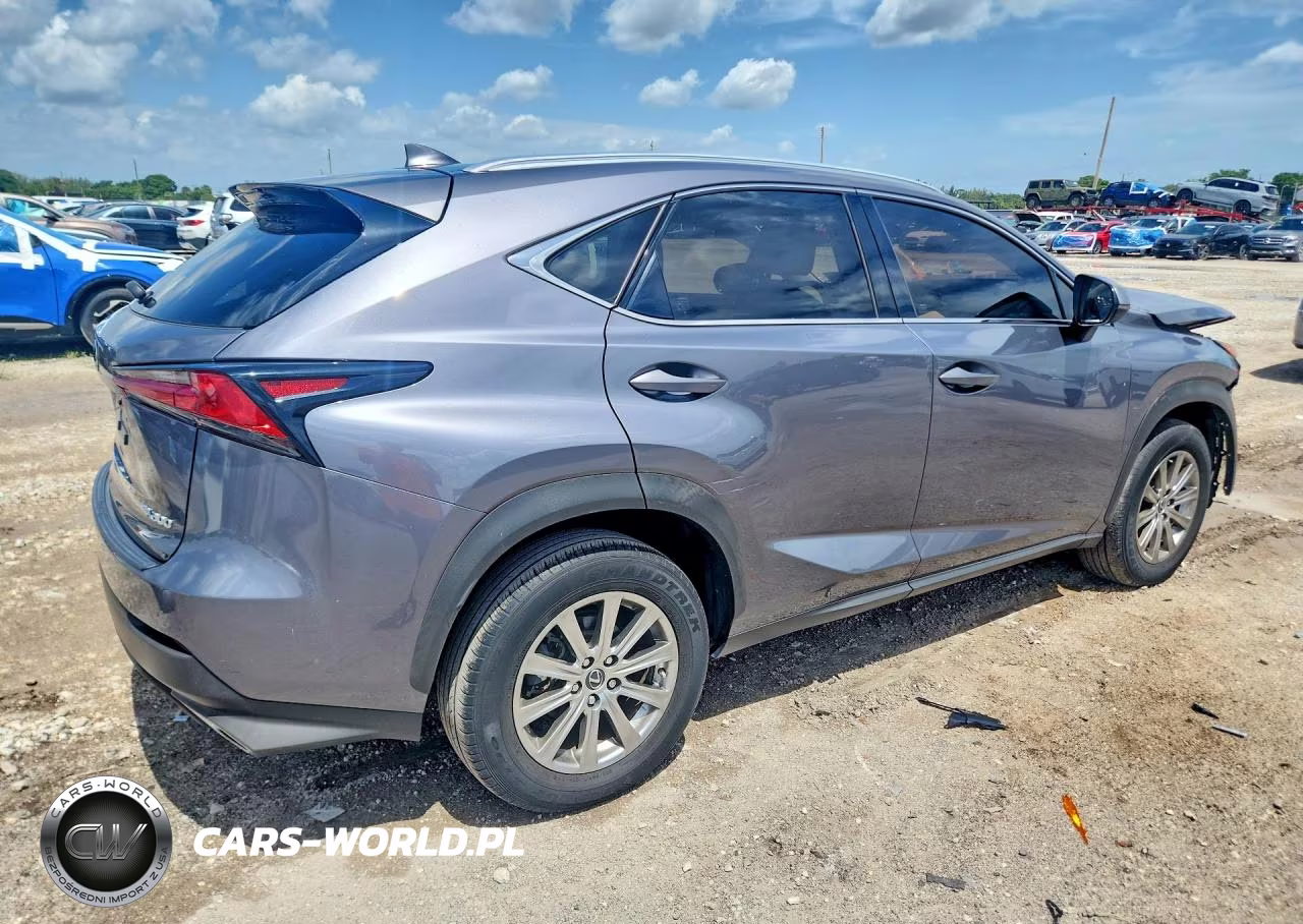 2021 Lexus Nx 300 Base VIN:JTJDARBZ2M2187019 - 3