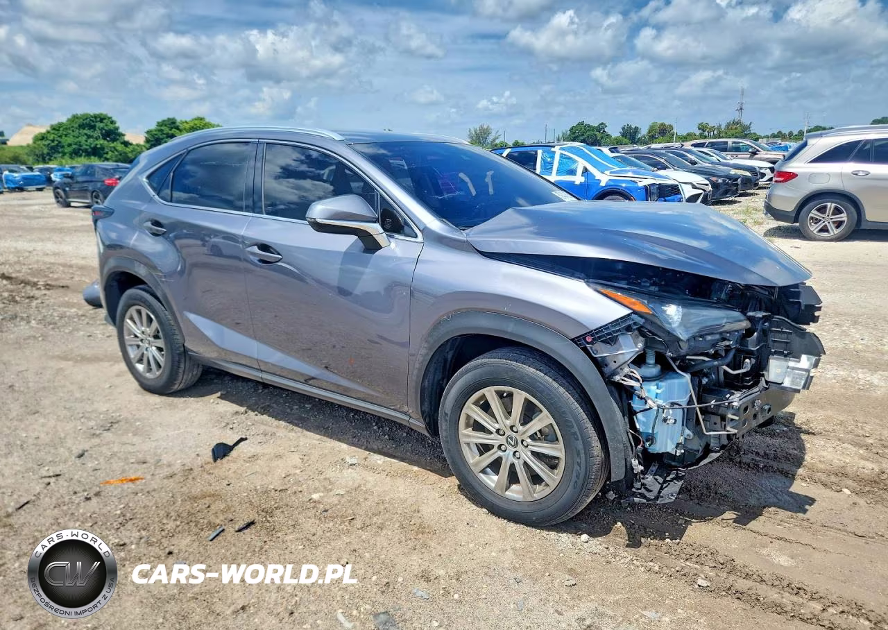 2021 Lexus Nx 300 Base VIN:JTJDARBZ2M2187019 - 4