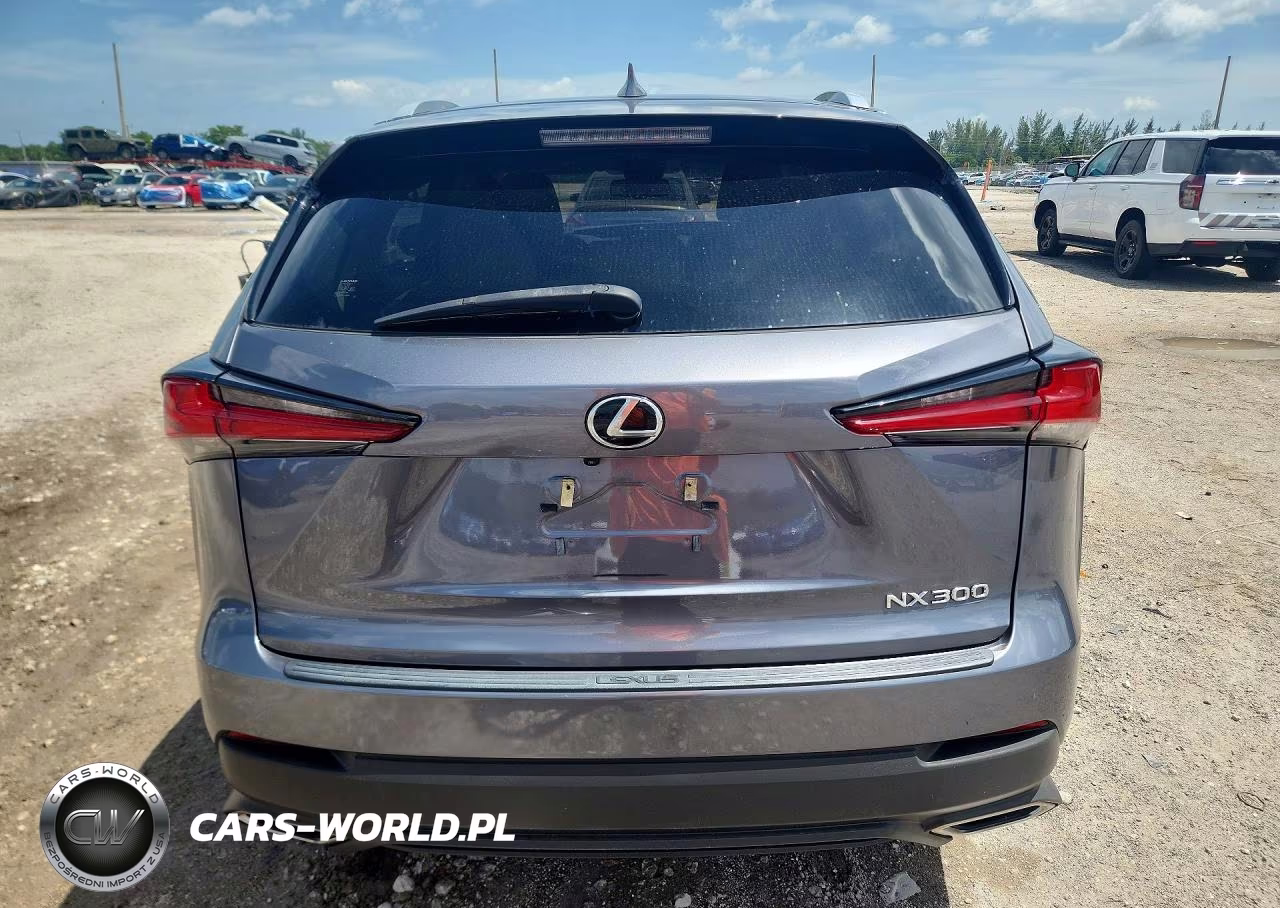 2021 Lexus Nx 300 Base VIN:JTJDARBZ2M2187019 - 6