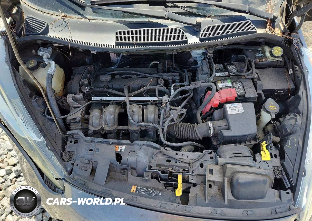 2015 Ford Fiesta Se VIN:3FADP4EJ1FM111075 - 11