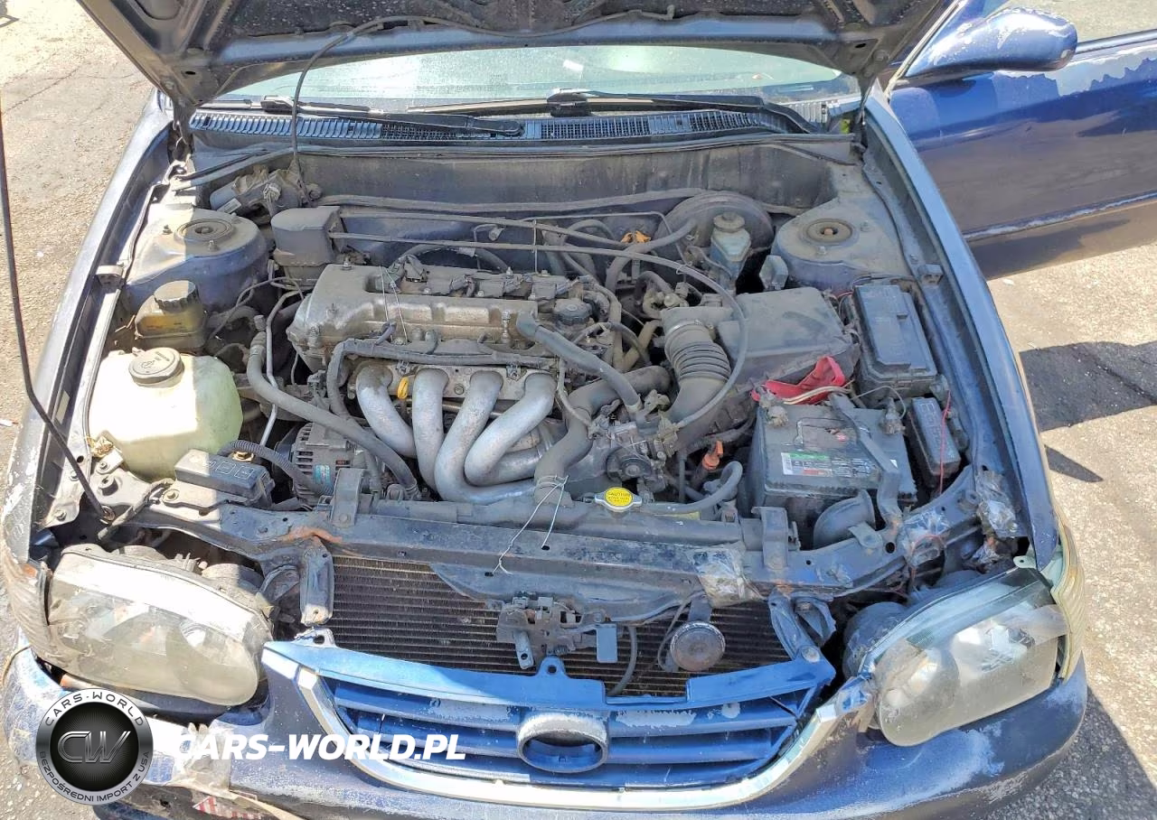 2001 Toyota Corolla S VIN:1NXBR12E41Z490574 - 11