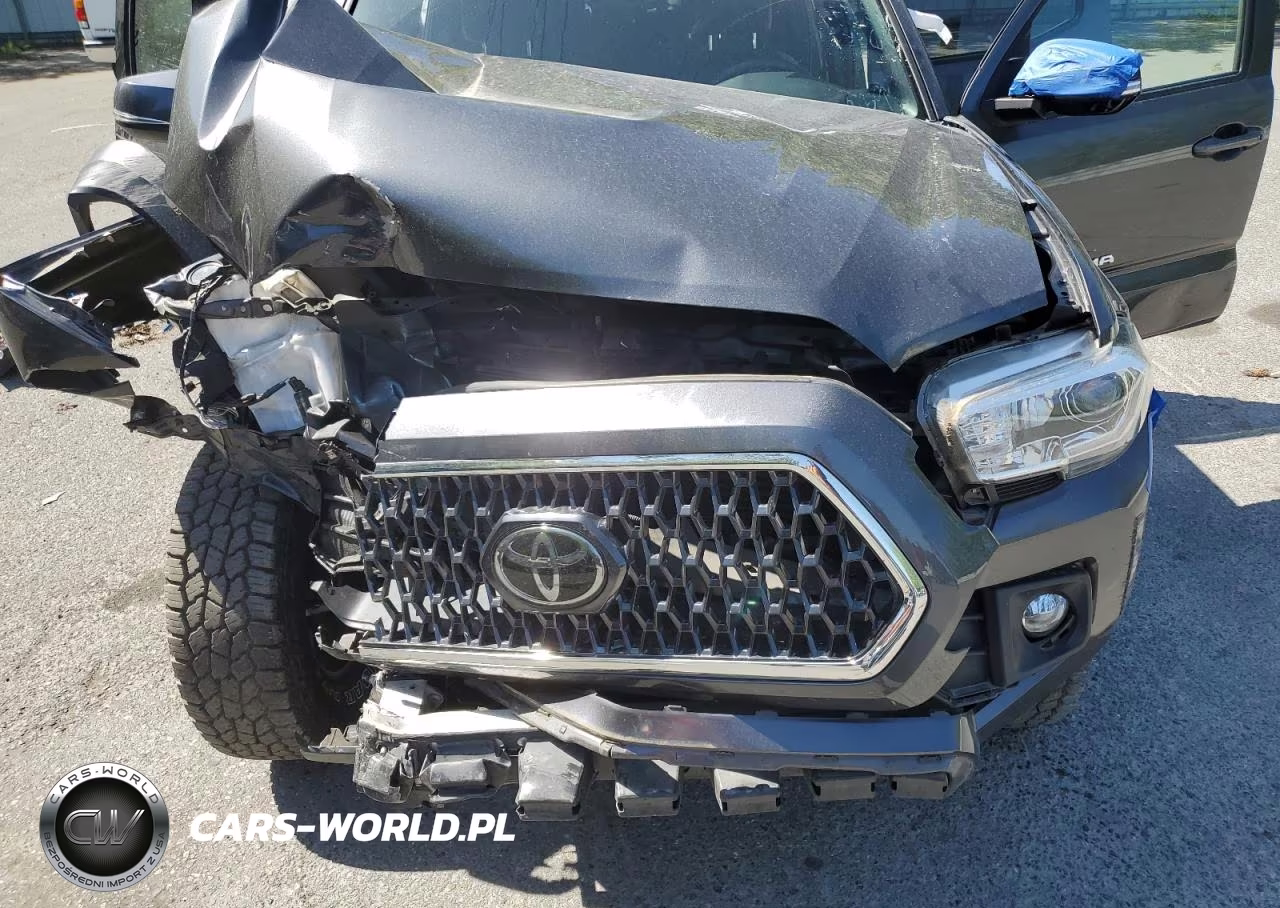 2019 Toyota Tacoma Double Cab VIN:3TMDZ5BN2KM062898 - 11