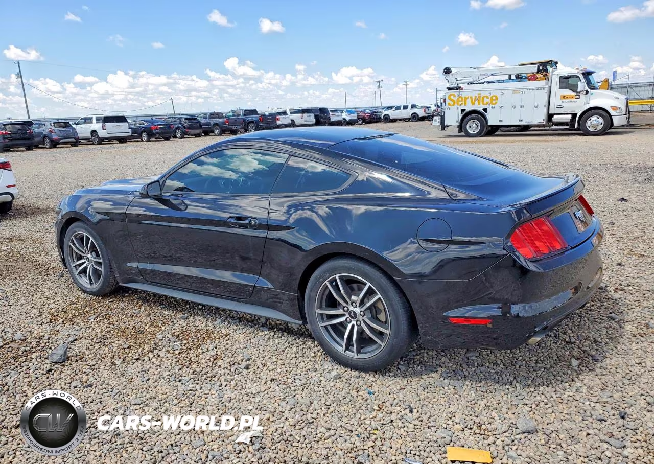 2017 Ford Mustang VIN:1FA6P8TH2H5291238 - 2