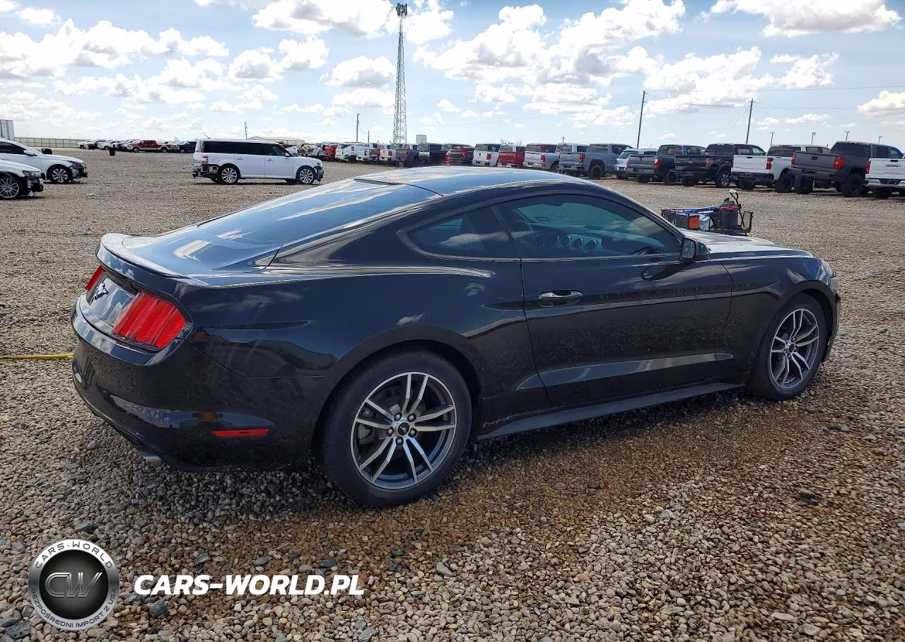 2017 Ford Mustang VIN:1FA6P8TH2H5291238 - 3