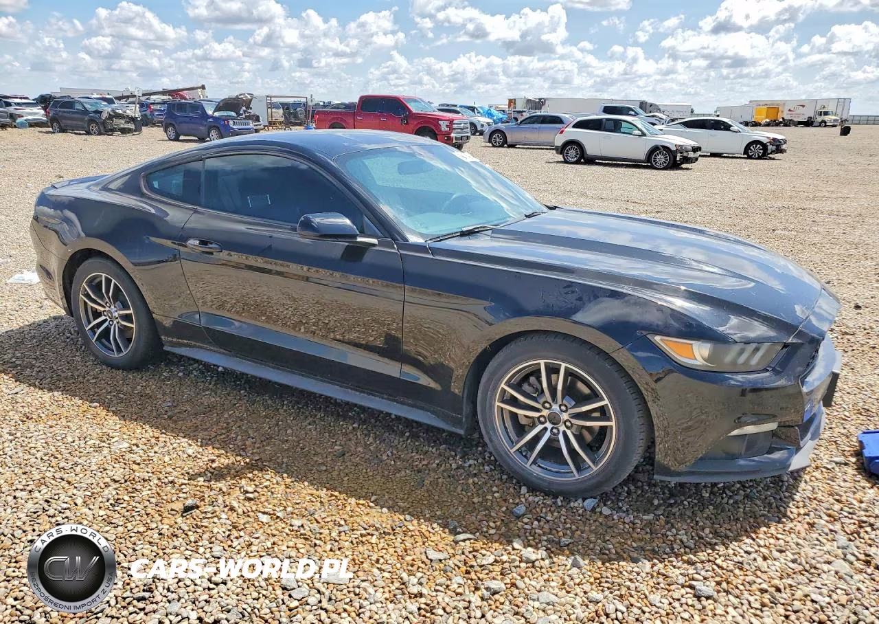 2017 Ford Mustang VIN:1FA6P8TH2H5291238 - 4