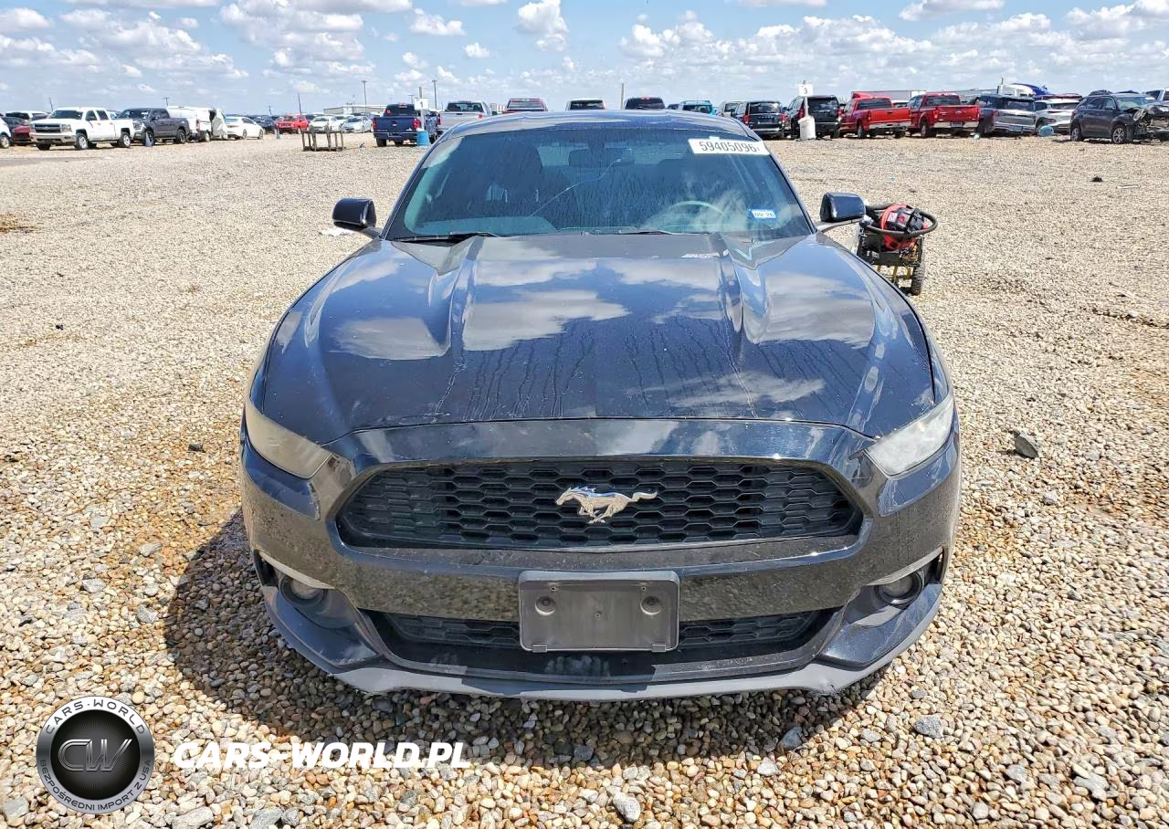 2017 Ford Mustang VIN:1FA6P8TH2H5291238 - 5
