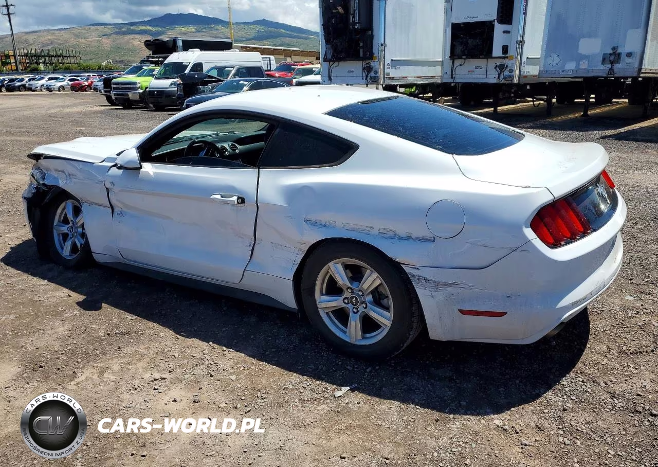 2017 Ford Mustang VIN:1FA6P8AM2H5283088 - 2