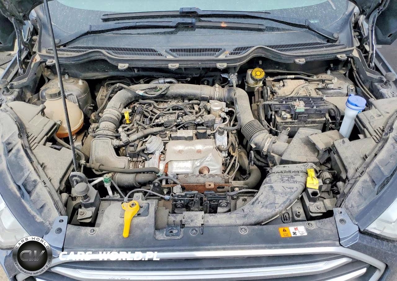 2021 Ford Ecosport Se VIN:MAJ3S2GE8MC444886 - 12