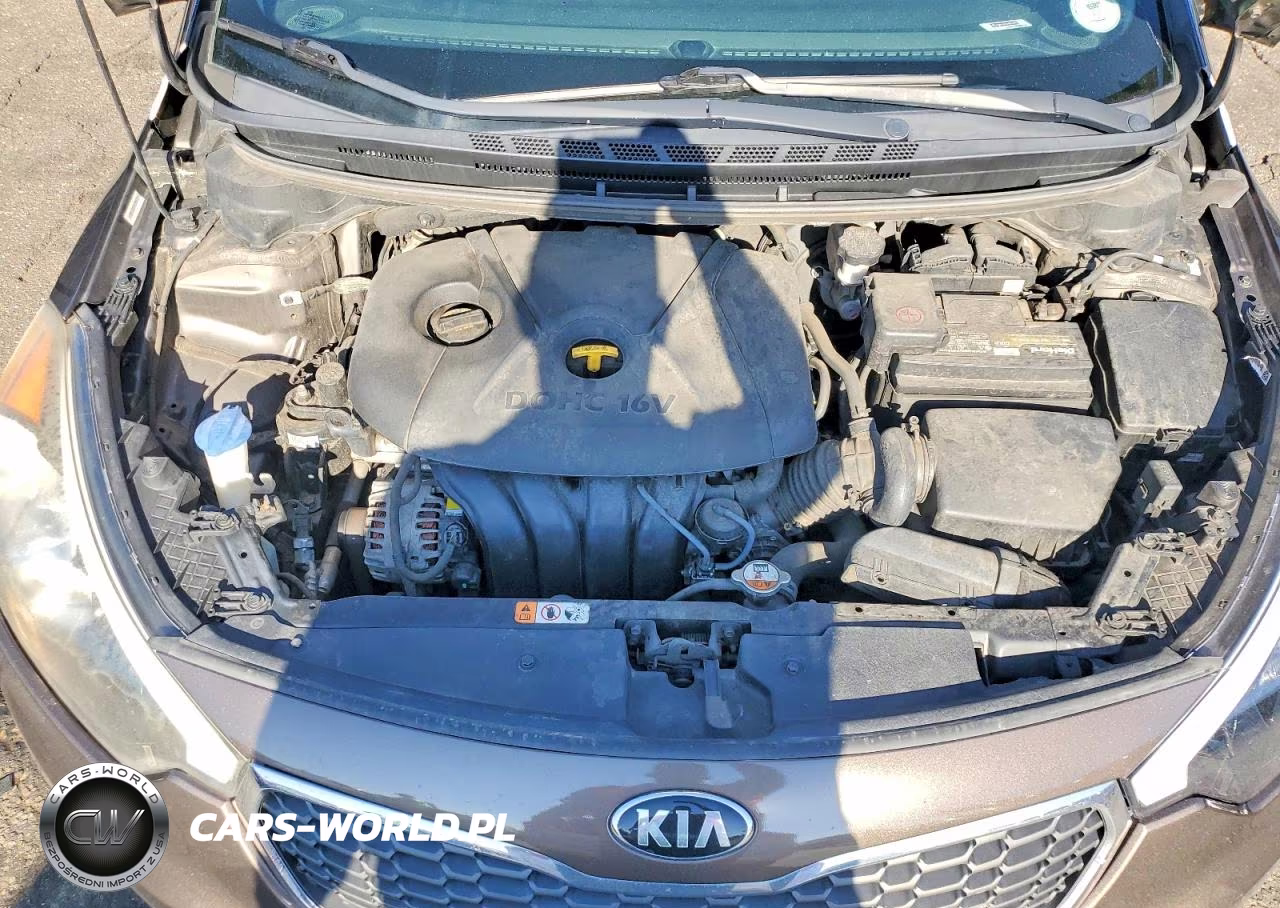 2015 Kia Forte Lx VIN:KNAFX4A61F5345515 - 11