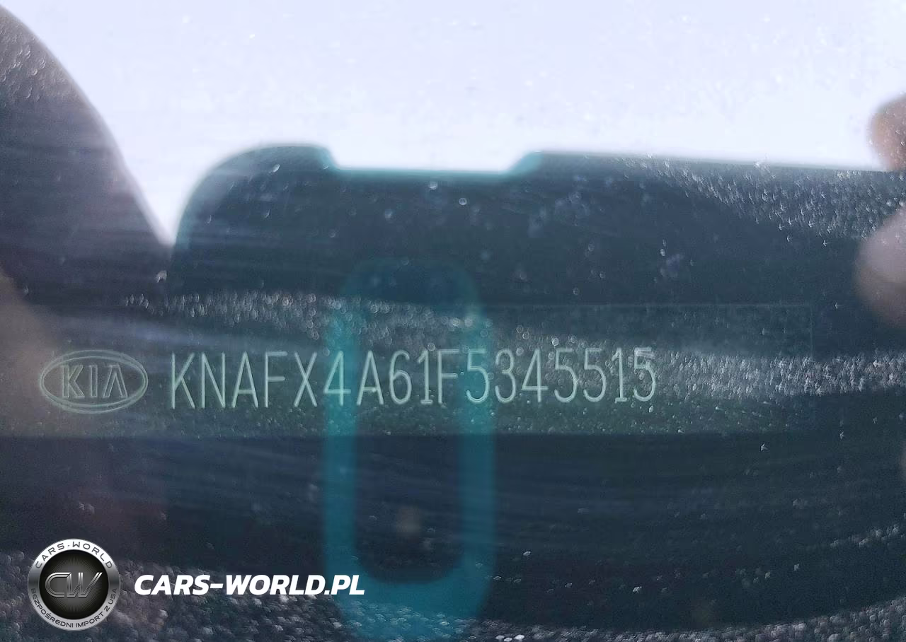 2015 Kia Forte Lx VIN:KNAFX4A61F5345515 - 12