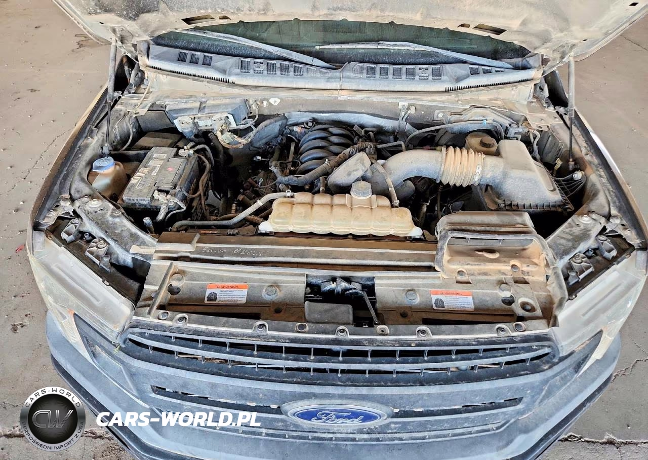 2020 Ford F150 Xl 4Wd 5.0L V8 Ffv Crew Cab VIN:1FTEW1E54LKD26620 - 11