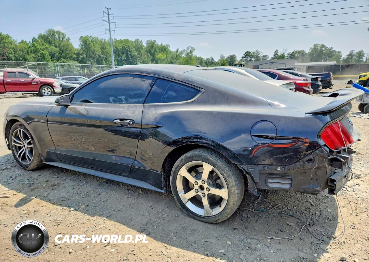 2016 Ford Mustang VIN:1FA6P8TH0G5324218 - 2
