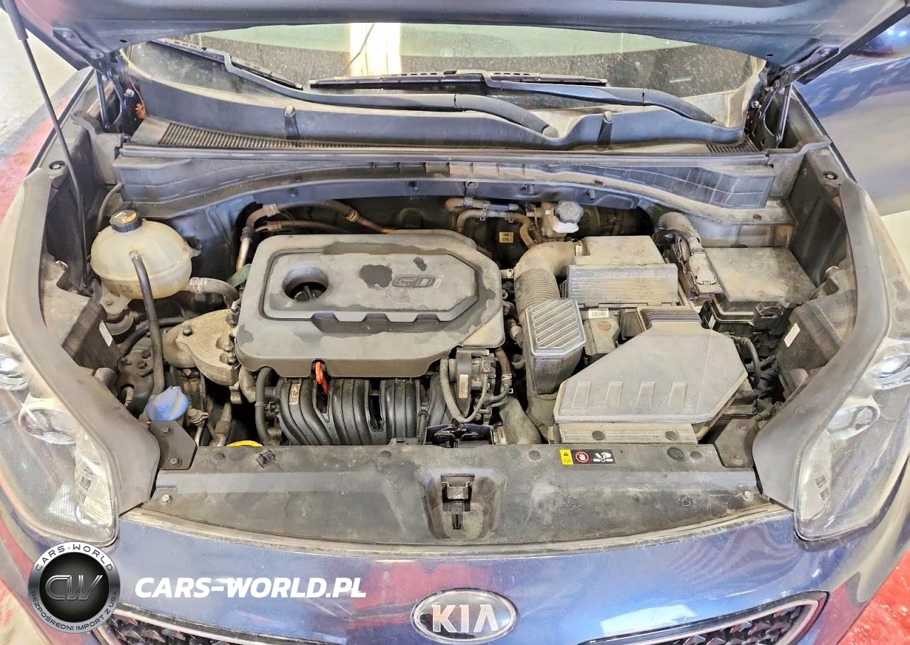 2018 Kia Sportage Lx VIN:KNDPMCAC4J7308102 - 12