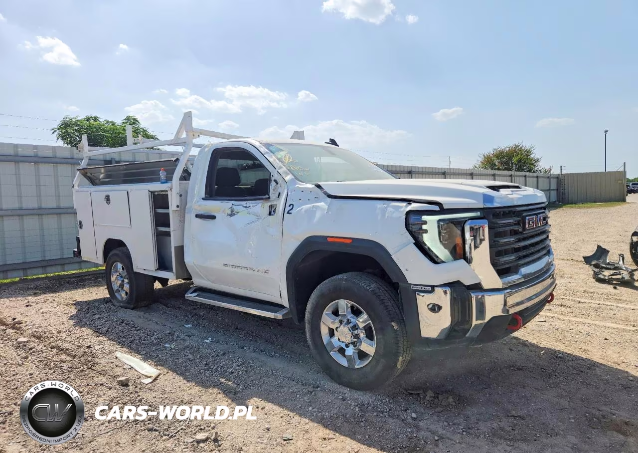2024 GMC Sierra 2500Hd V8 Reg Cab 6.6L Service Body VIN:1GD38LE73RF134181 - 4