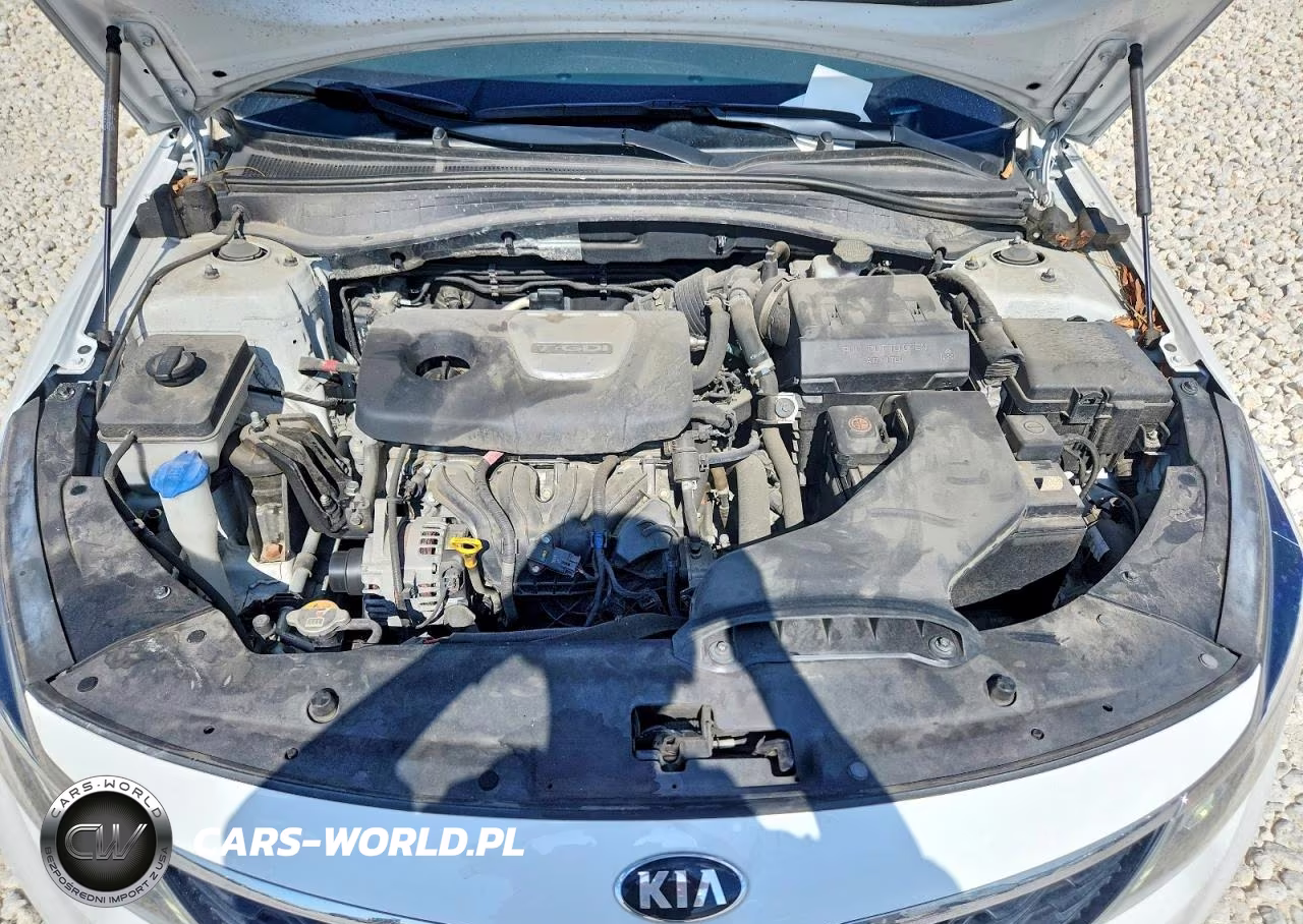 2019 Kia Optima Ex VIN:5XXGU4L12KG330691 - 11