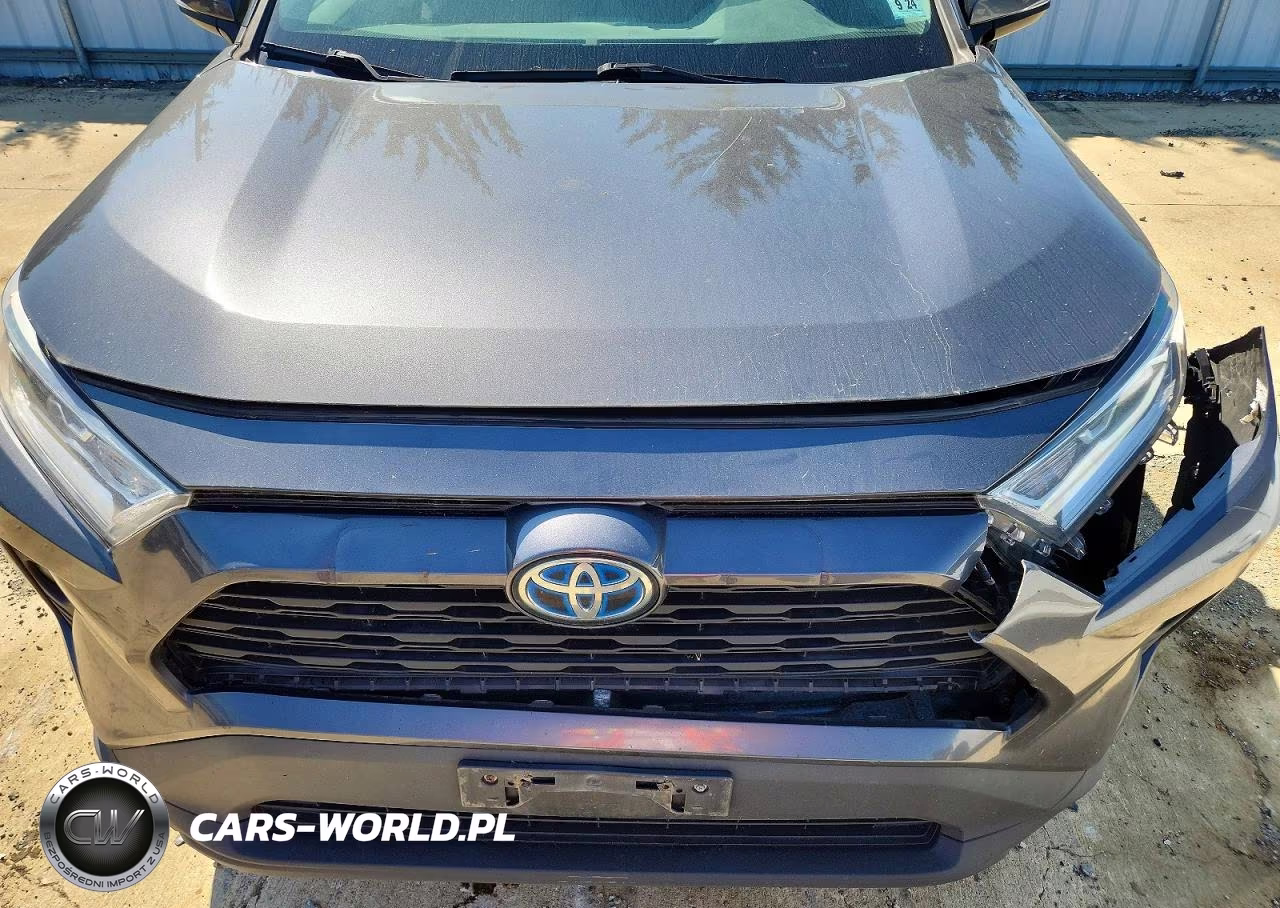 2019 Toyota Rav4 Hybrid Xle VIN:2T3RWRFV9KW037737 - 11