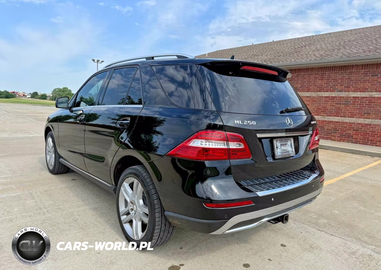 2015 Mercedes-Benz Ml 250 Bluetec VIN:4JGDA0EB1FA503026 - 3