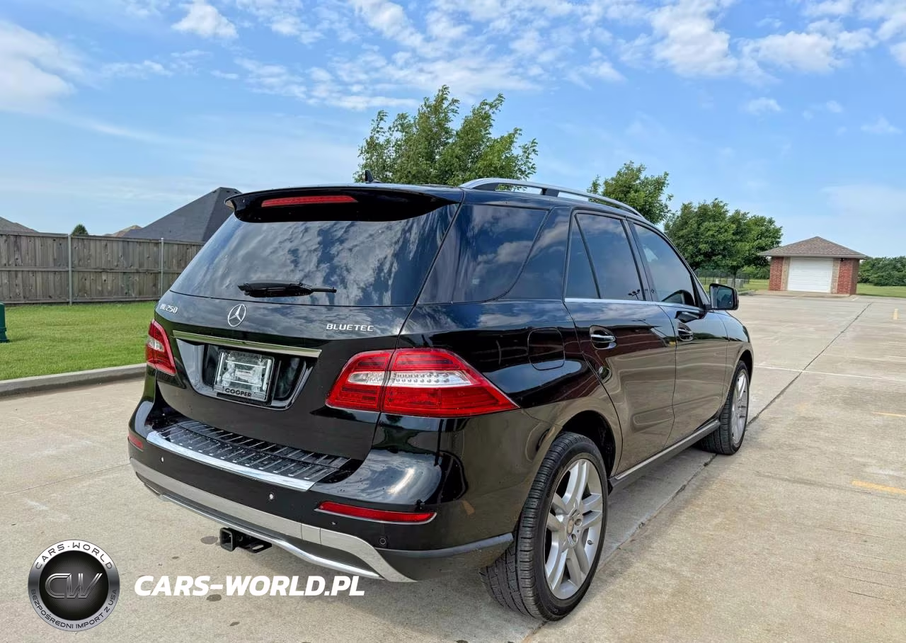 2015 Mercedes-Benz Ml 250 Bluetec VIN:4JGDA0EB1FA503026 - 4