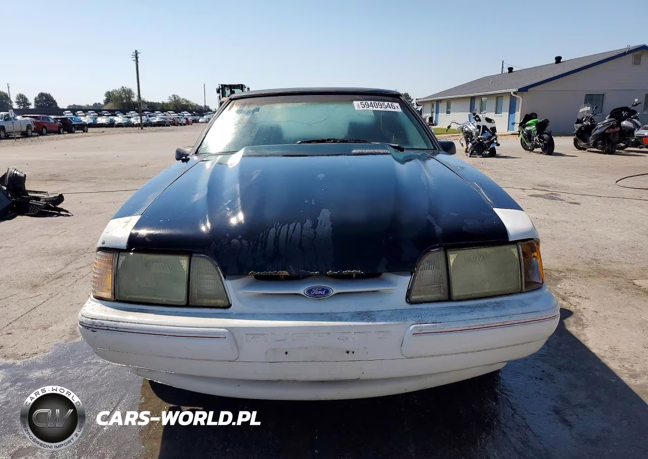 1991 Ford Mustang Lx VIN:1FACP41M7MF182290 - 5