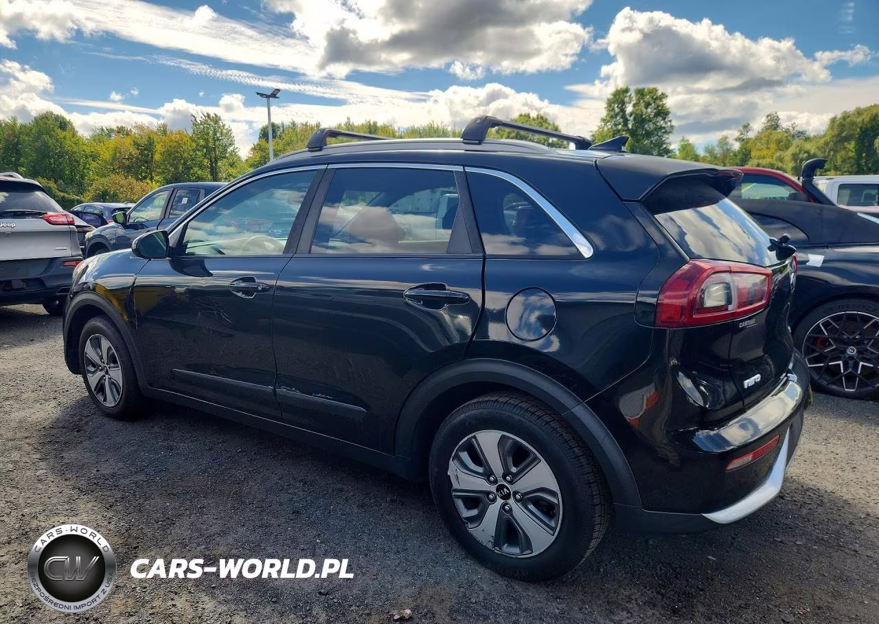 2019 Kia Niro Lx VIN:KNDCB3LC7K5246631 - 2